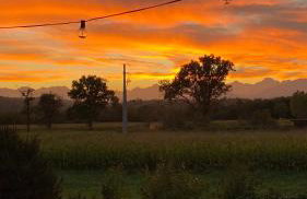 Orto del pettirosso - Foto 17