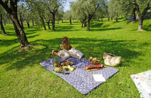 Villa Gran Paradiso - Foto 27