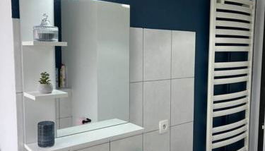 Appartement T3 rénové 60m2 proche centre Colmar - Foto 4