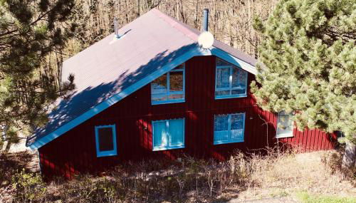 Premium-Ferienhaus Extertal Ferienpark - Natur Erholung Sauna Familie - Photo 3