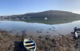 Waterside Victorian house at Golant Fowey - Foto 20
