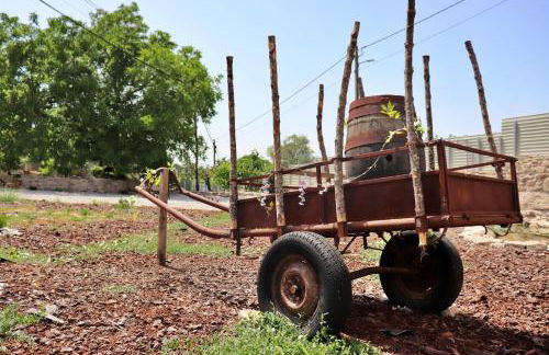 Cantinho D'Aldeia - Foto 53