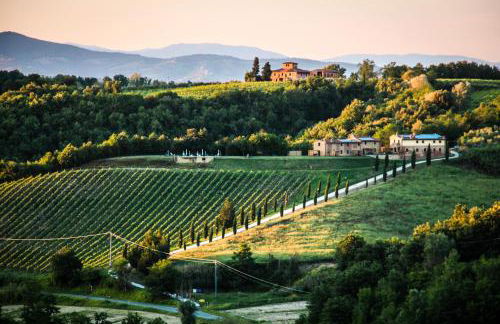 Colle Bertini - Foto 45