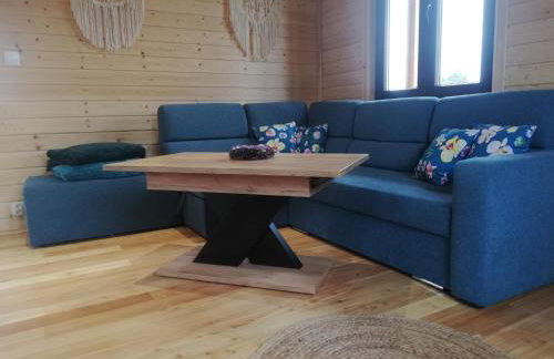 Domki całoroczne DŁUGOSZÓWKA pod Rzeszowem, Jacuzzi-Sauna-Basen-Alpaki - Foto 9