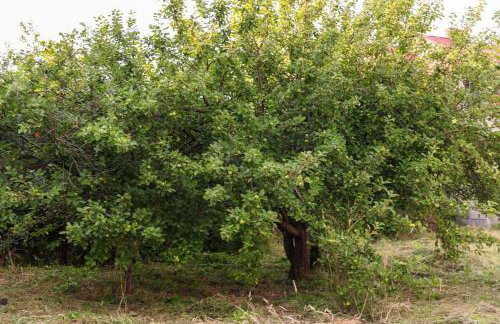 Free Bikes, WiFi, AC, Garden, 2 Beds - Foto 34