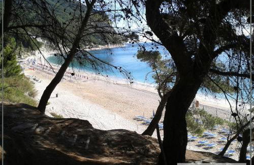 VILLA AUREA with private pool and park - Photo 7