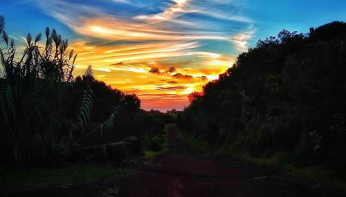 Casa da Eira Velha - Photo 4