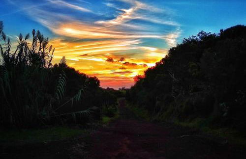 Casa da Eira Velha - Photo 4