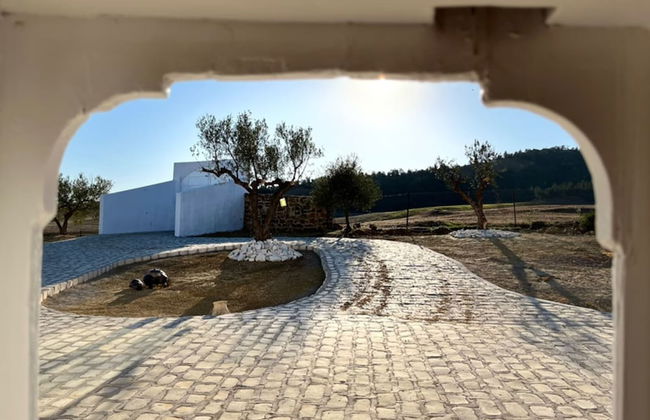 Villa in the Mountains Hammamet - Foto 55