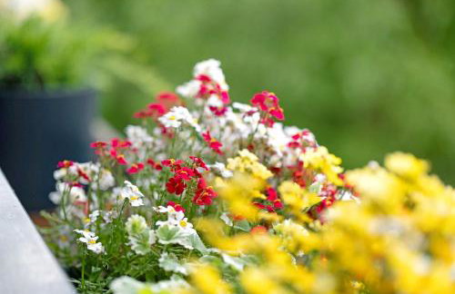 Bauernhof Sackgut - Foto 61