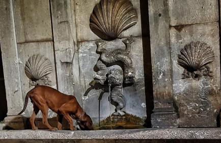 Loft in centro - Foto 21