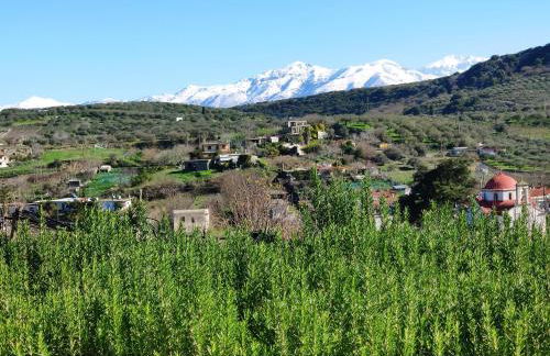 Green Farm-small paradise! - Foto 21