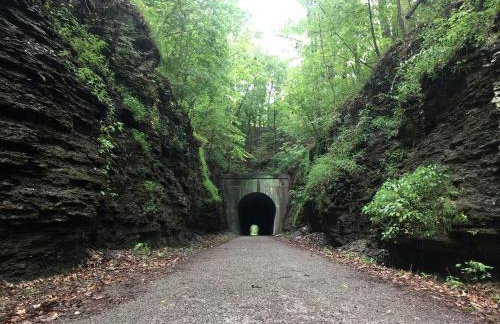 Chic Modern Cabin with Jacuzzi Ideal for Couples in Carbondale, Illinois - Foto 15