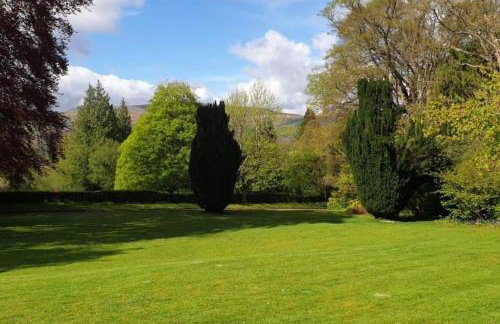 Little Plas - Foto 50