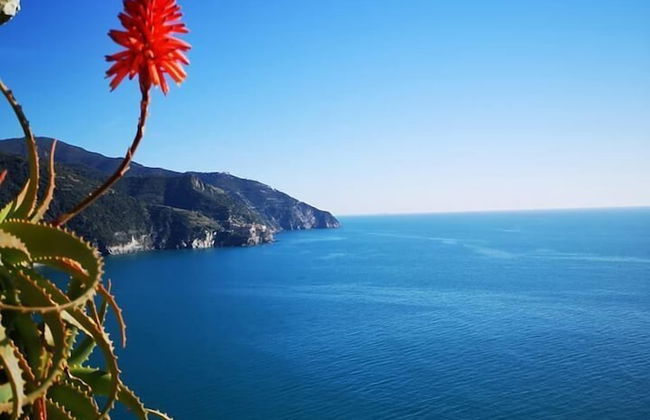 Lecci Di Soviore - Foto 39