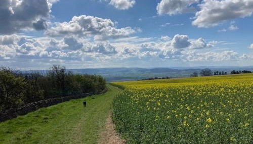 Beautiful Cotswold Farmhouse with Hot tub - Foto 5