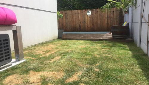 Maison, piscine centreville Gujan-Mestras 4 hôtes - Foto 5, Garden