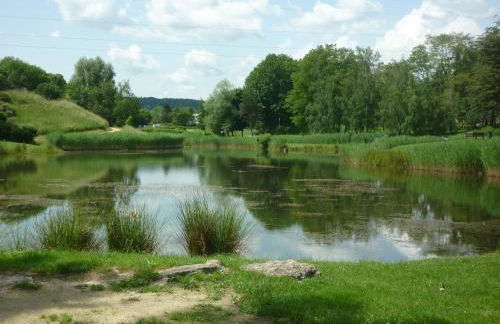 L'Orée du Parc à Belfort - Foto 17