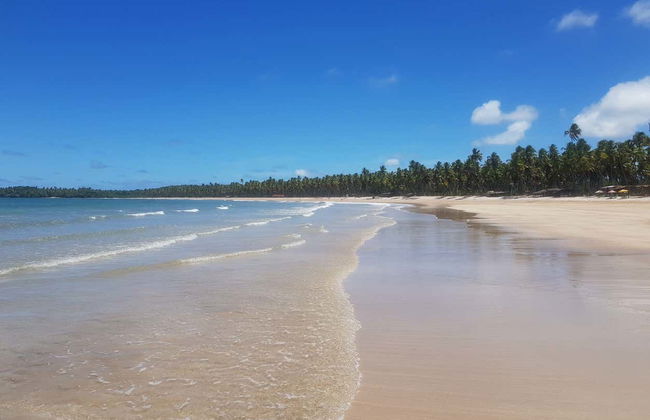 Excursión a la isla de Boipeba - Foto 4
