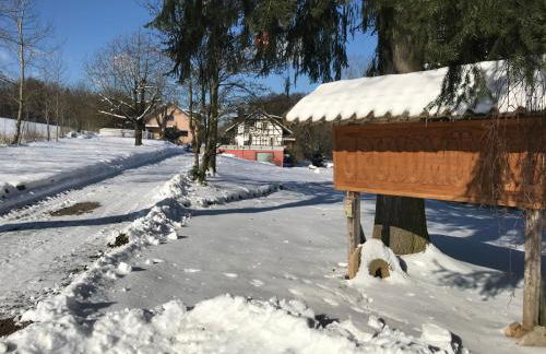 Ferienwohnungen Grundmühle - Foto 16