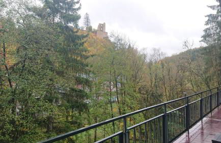 Eifelvilla Urbigkeit - Foto 37