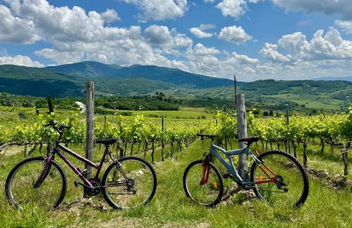 Chianti House Garden - 30 min Firenze centro - Foto 27