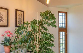 Maria's panoramic seaview Villa - Photo 80