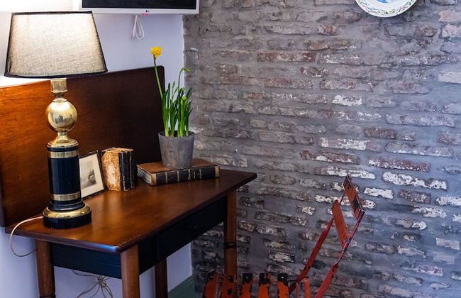 HN Gaviota - Photo 25