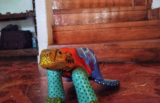 Room in House - Una Joya Para Dormir En Chapalita - Foto 18