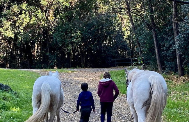 Estancia Grande - Foto 42