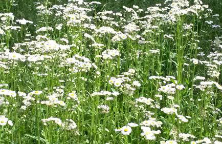 Cabin Rental with Hot Tub in the New River Gorge Region of West Virginia - Foto 12