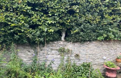 The Garden Room - Foto 16