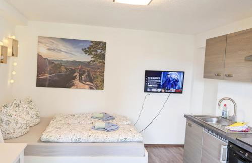 B1 - Urlaubsmagie - Einzimmerwohnung direkt am Wanderweg - Foto 12