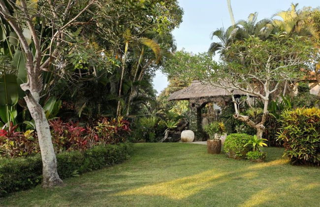 Omecure by Nakula - Photo 13