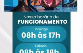 Chales Acqua park - Foto 11