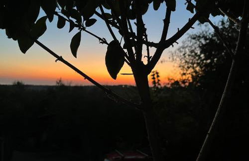 Casa Olive Family - Foto 9