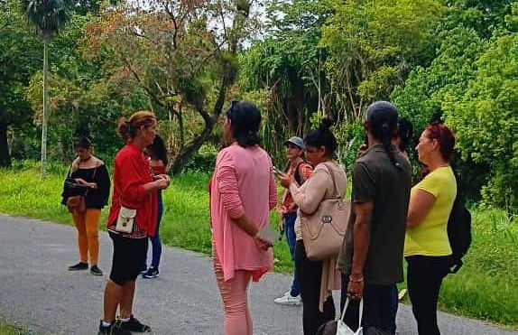 Excursão ao Jardim Botânico de Cienfuegos - Foto 1