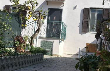 Ti Porto a Casa - Foto 42