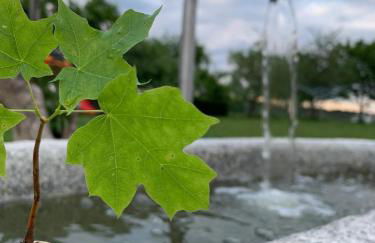 FeWo Landblick - Foto 15