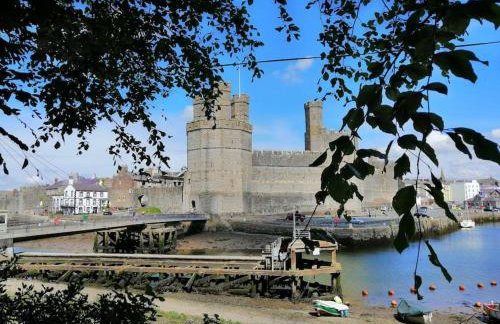 Lovely Stone Village cottage in Snowdonia - Foto 27