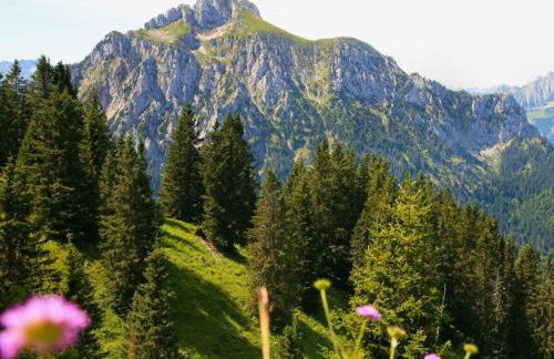 at the Seehotel Hartung - Foto 32