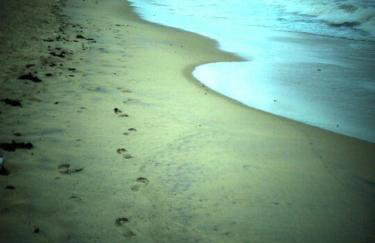 Apartamento - Ed Jatiuca - Foto 7