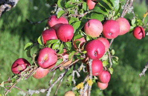 Ferienwohnungen in Losheim am See - Foto 66