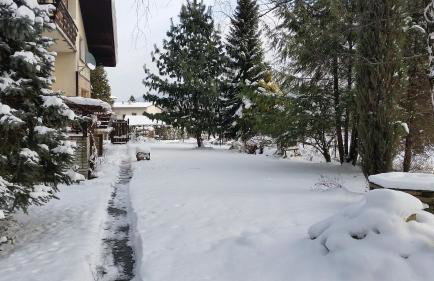 Świnna - Brzozowy Zagajnik - Foto 47