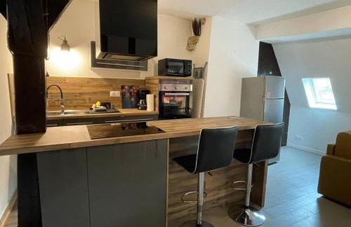 Appartements chez Delphine et Guillaume au coeur de Semur en Auxois - Foto 43