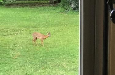 Château de la Coudraie et La Petite Coudraie - Photo 24