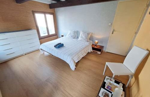 L'échappée authentique- Maison centre-ville- véranda climatisée-jardin - Photo 13