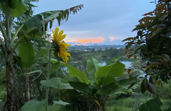 Rocksglamping - Photo 1