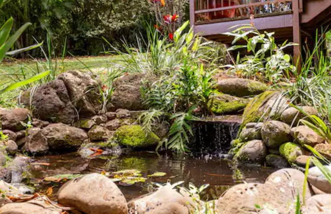 Hawaiian Dream Temple - Foto 21