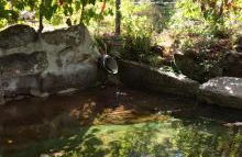 Quintinha De Pinouco - Foto 45